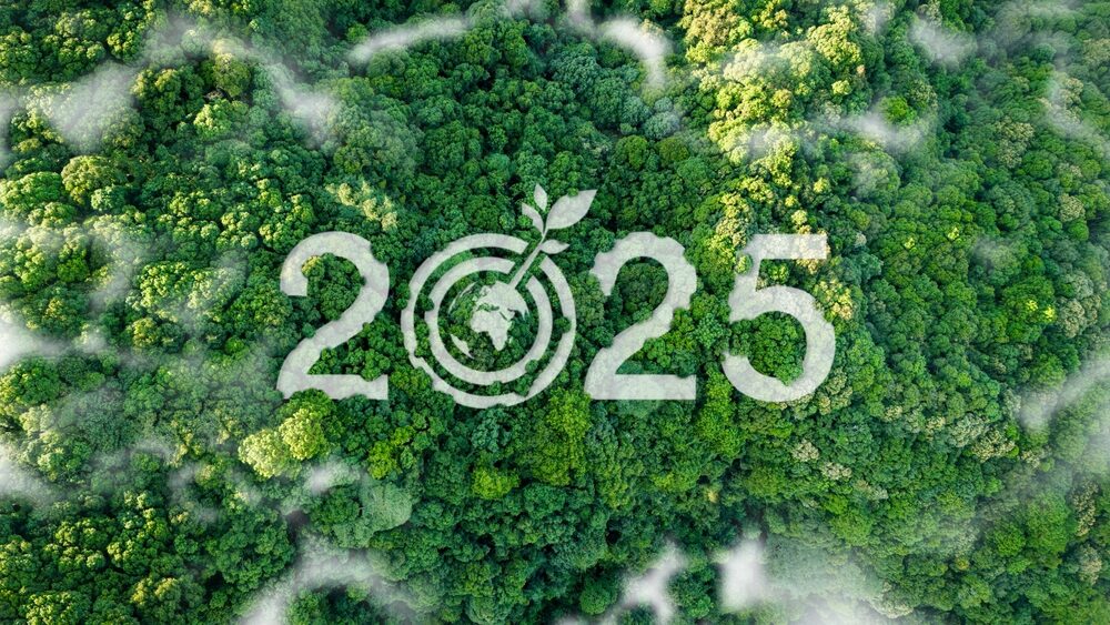Bilancio di Sostenibilità 2025 Engineering