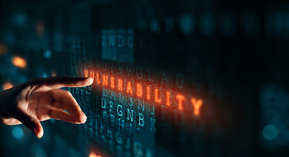 Rappresentazione grafica della vulnerabilità fiscale