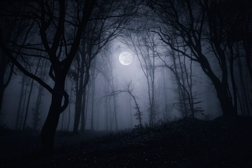 Silent Hill: Townfall - Immersione e stealth