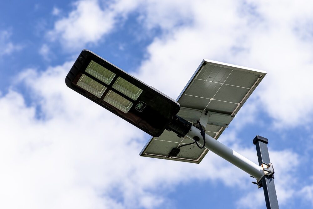 Ortaggi a foglia sotto luce artificiale